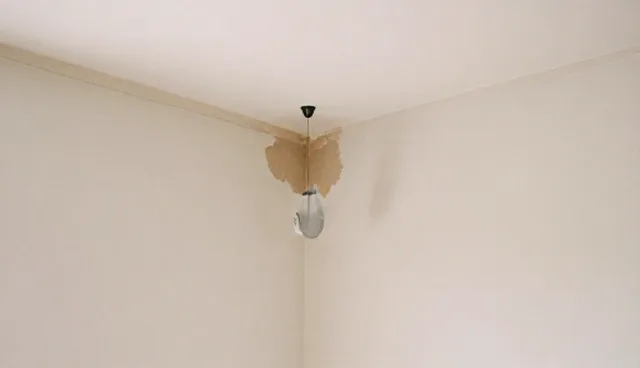 后勤服务选型建议：5大检查要点确保性能与适用条件匹配